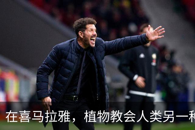 在喜马拉雅，植物教会人类另一种活法