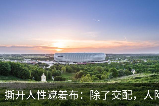 撕开人性遮羞布：除了交配，人际关系全是交易，别不相信!