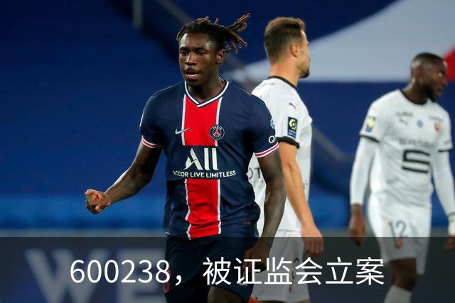 600238，被证监会立案